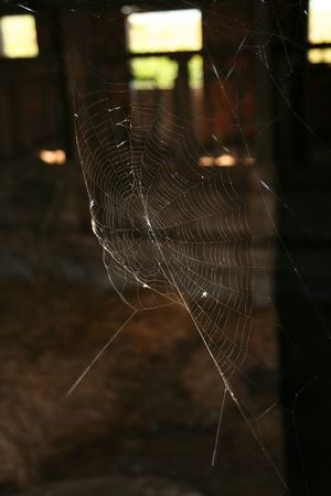 Spider web in a doorway