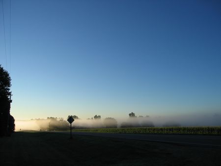 Bright morning mist