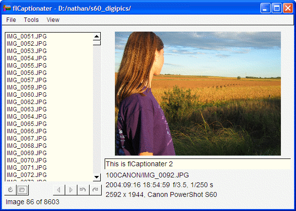 flCaptionater main window